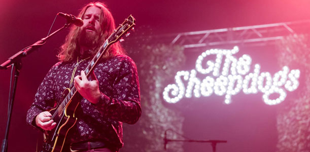 The Sheepdogs