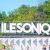 ÎLESONIQ 2022 – Jours 2 et 3 | Un niveau d'intensité inégalable
