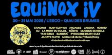 EQUINOX IV | Entrevue avec l’organisatrice du plus doux des événements punks