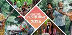 Musiques sous un arbre 2025 | L’événement du Centre des Musiciens du Monde dévoile sa programmation
