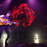 The Kooks