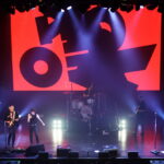 The Kooks