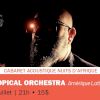 Psychotropical Orchestra