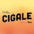 Cigale - Jour 2 | Québec et son trésor caché