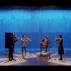 Quatuor Bozzini