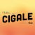 Cigale - Jour 1 | Musique, groove et vibe californienne à la Baie de Beauport