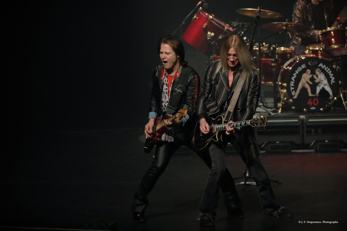 gowan quebec 2025 salle albert rousseau 12