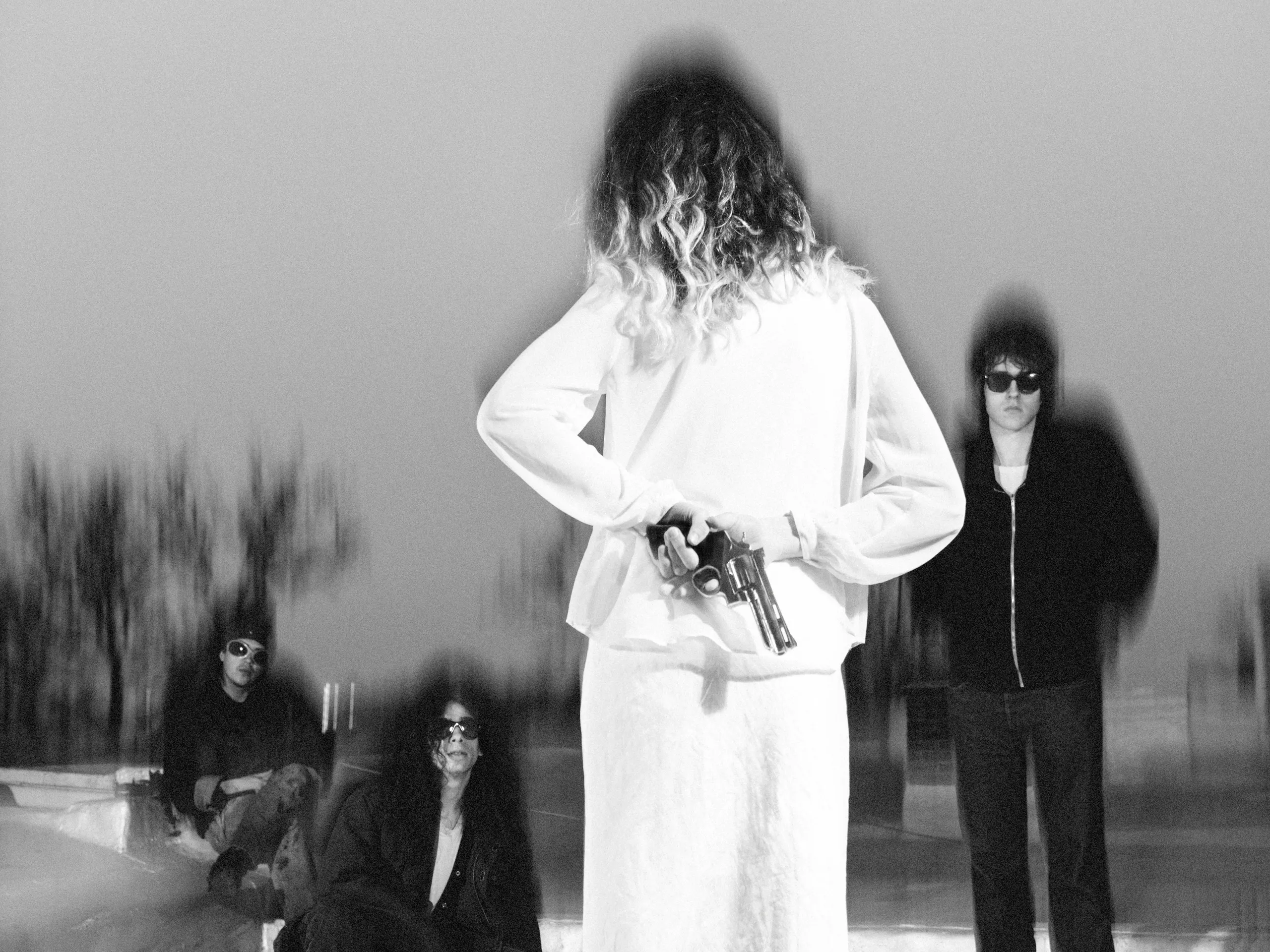 geese cameron winter