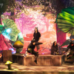 Peter Pan - La comédie musicale