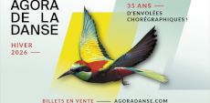 Panorama de la saison Hiver 2026 de l&rsquo;Agora de la danse | Le risque et l&rsquo;inédit au cœur de l&rsquo;interprétation