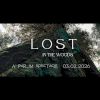 Lost in the Woods