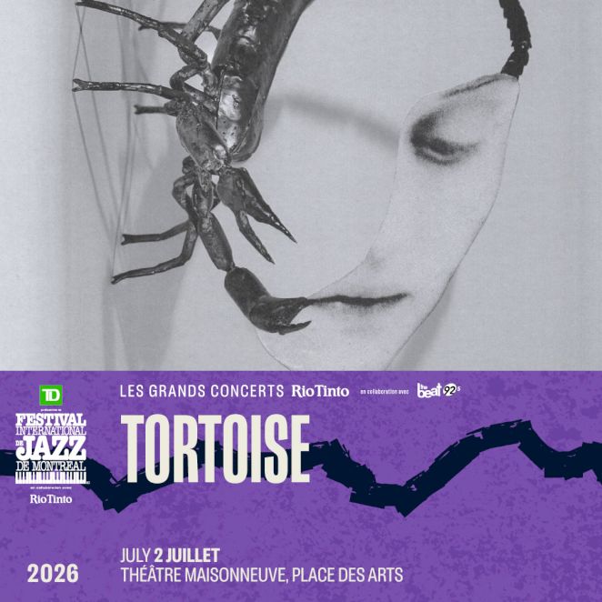 Tortoise