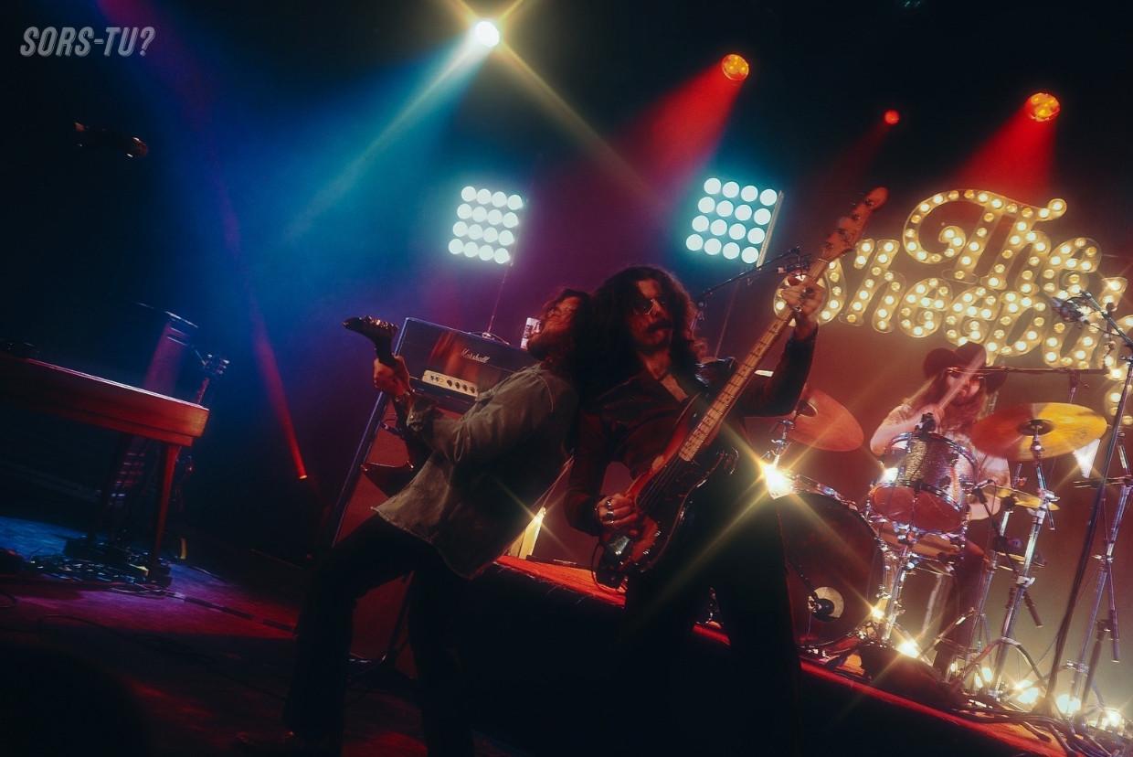 sheepdogs quebec 2026 02