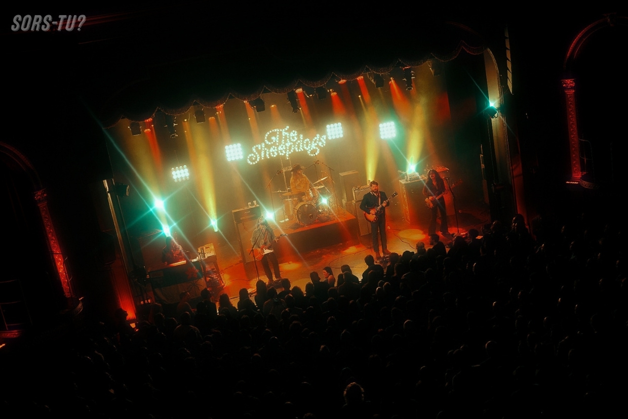 sheepdogs quebec 2026 05