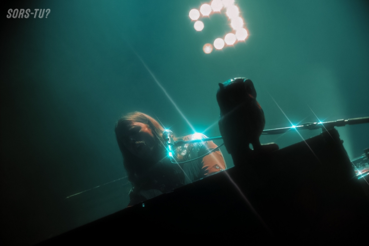 sheepdogs quebec 2026 06