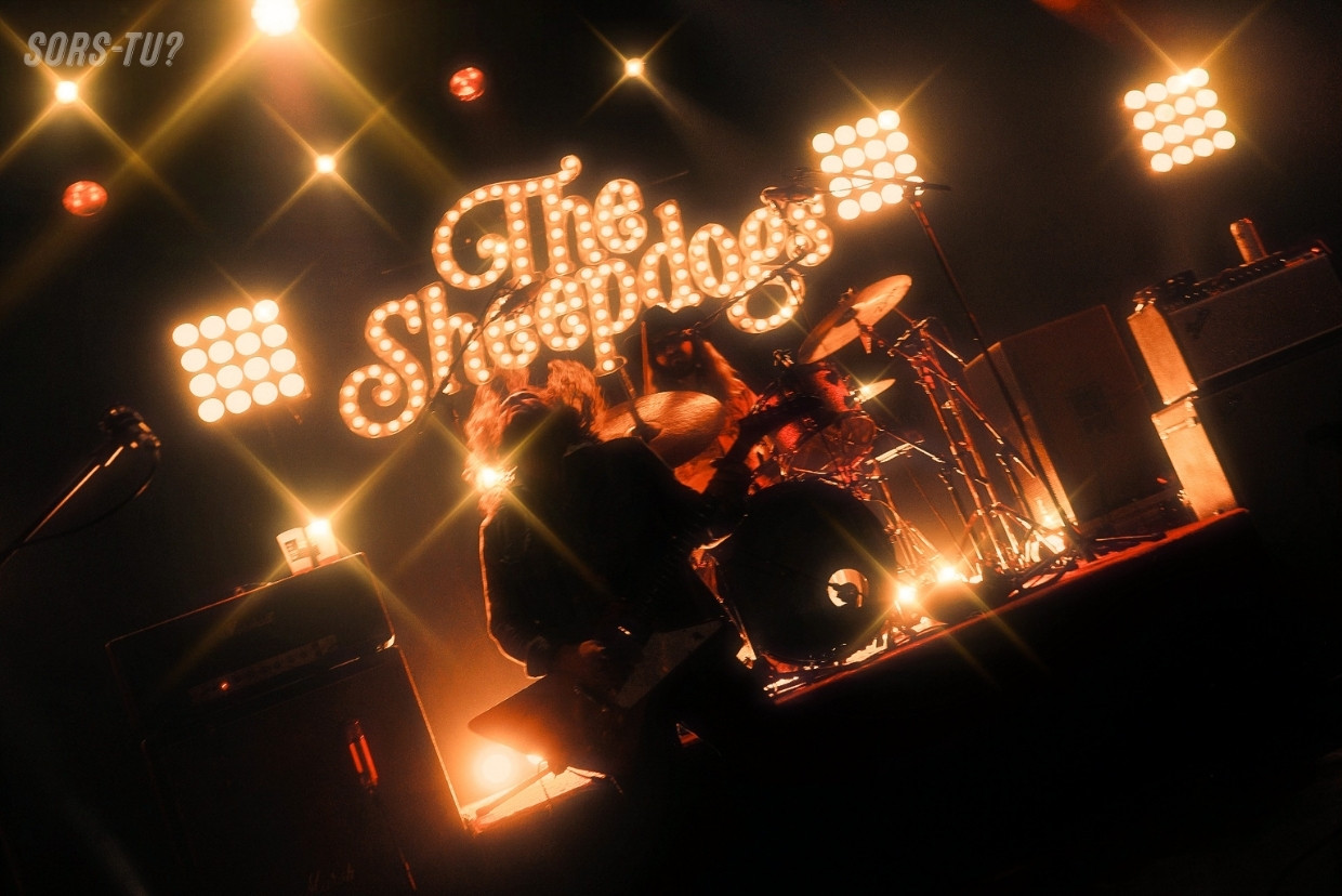 sheepdogs quebec 2026 10