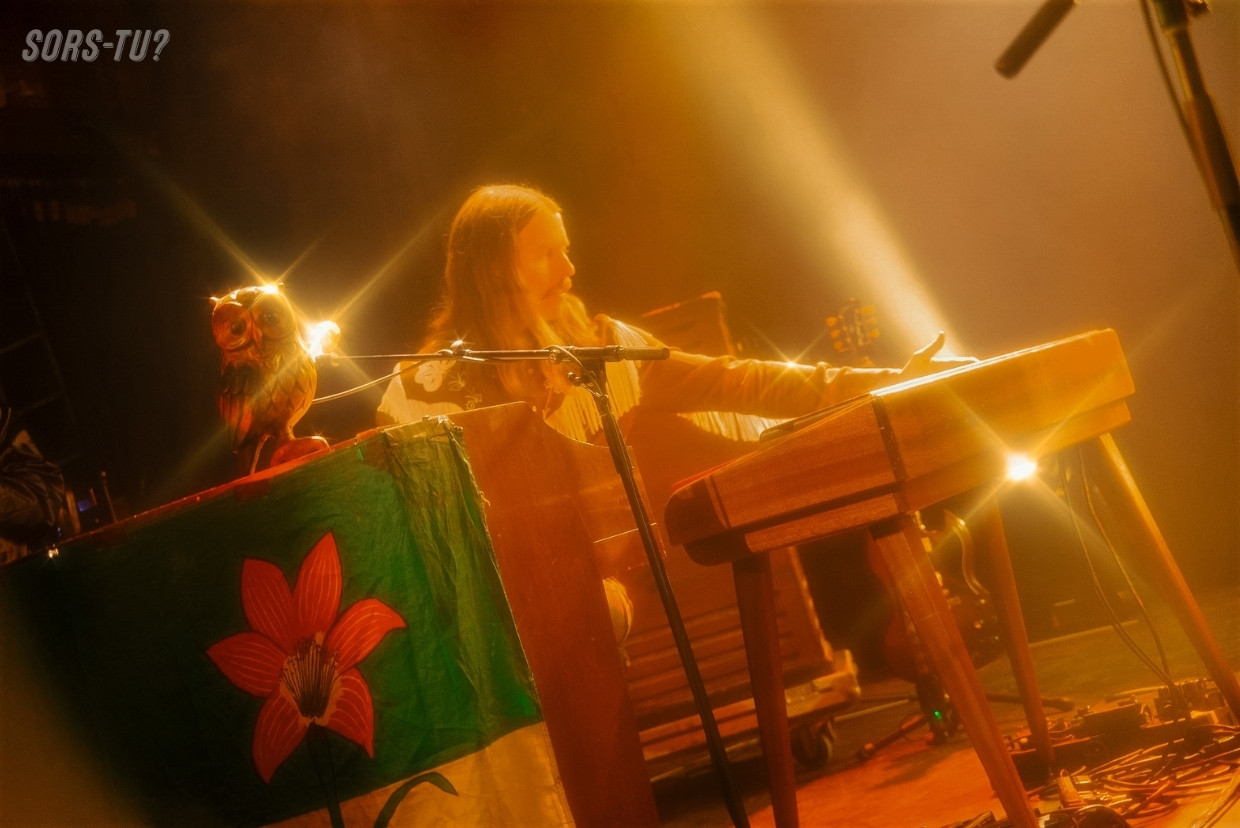 sheepdogs quebec 2026 22