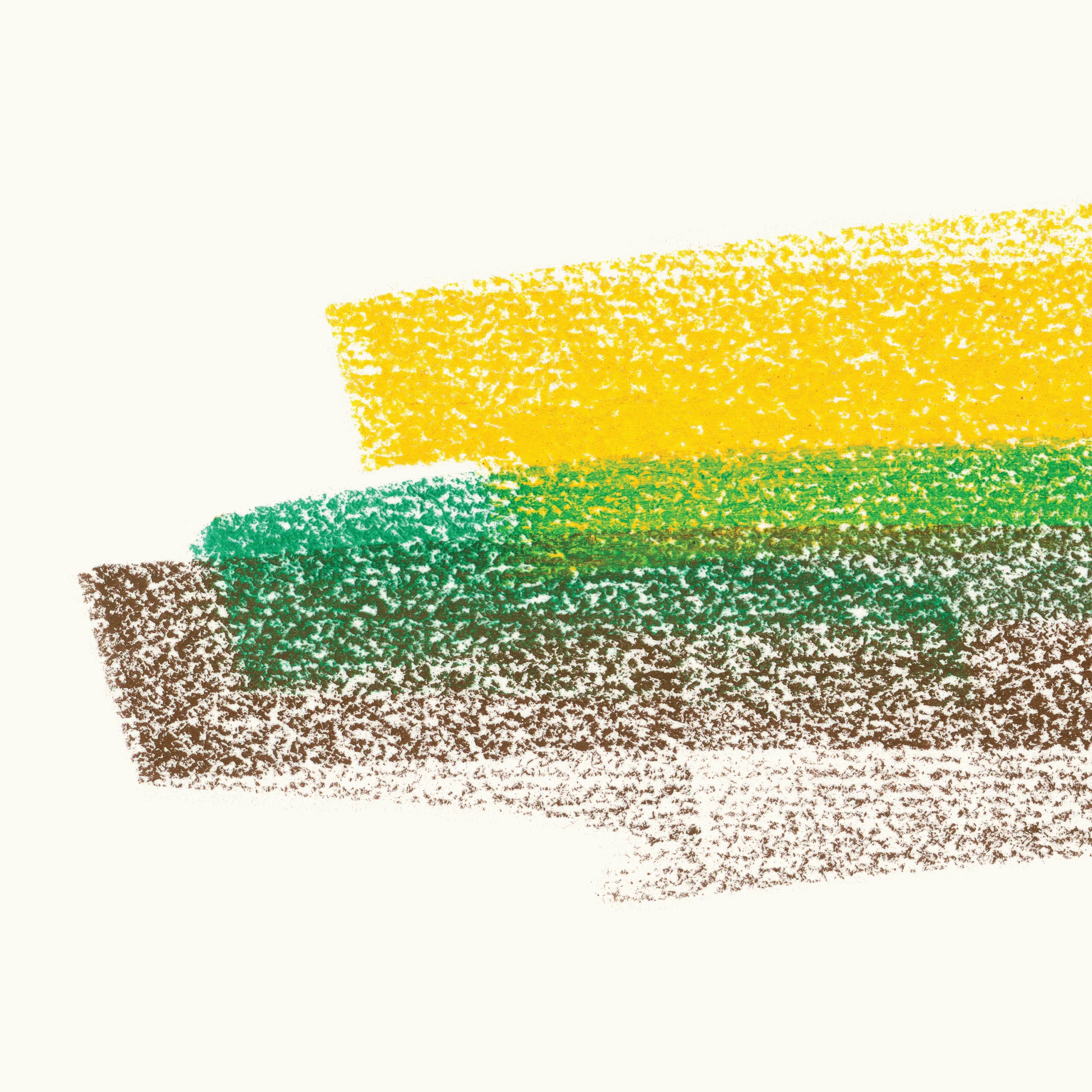 flore laurentienne vol 3 3000x