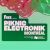Piknic Électronik 2026 | MCRDJ, Dombresky, Chus & Ceballos, Jayda G et plus à la programmation