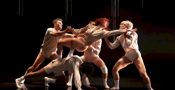 Compagnie Virginie Brunelle