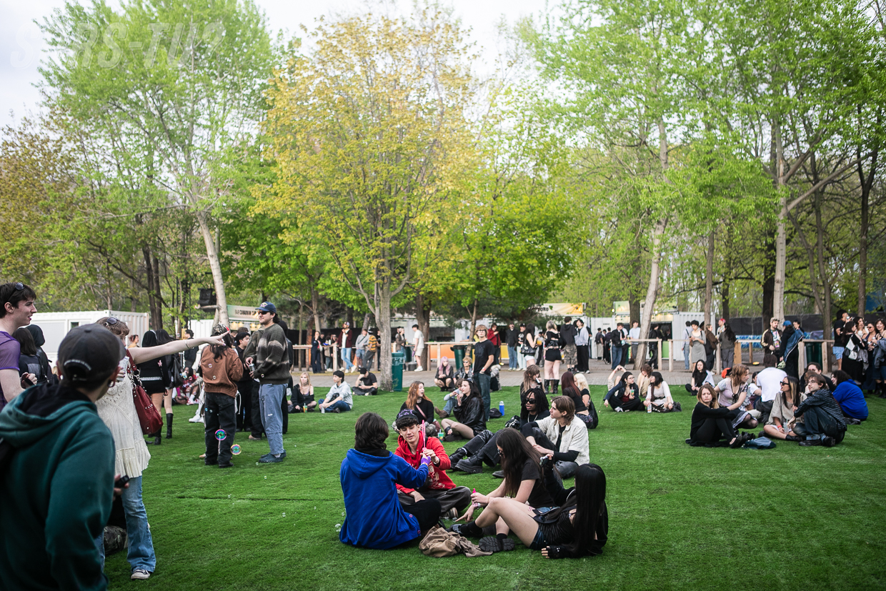 ambiance palomosa 20260515 049