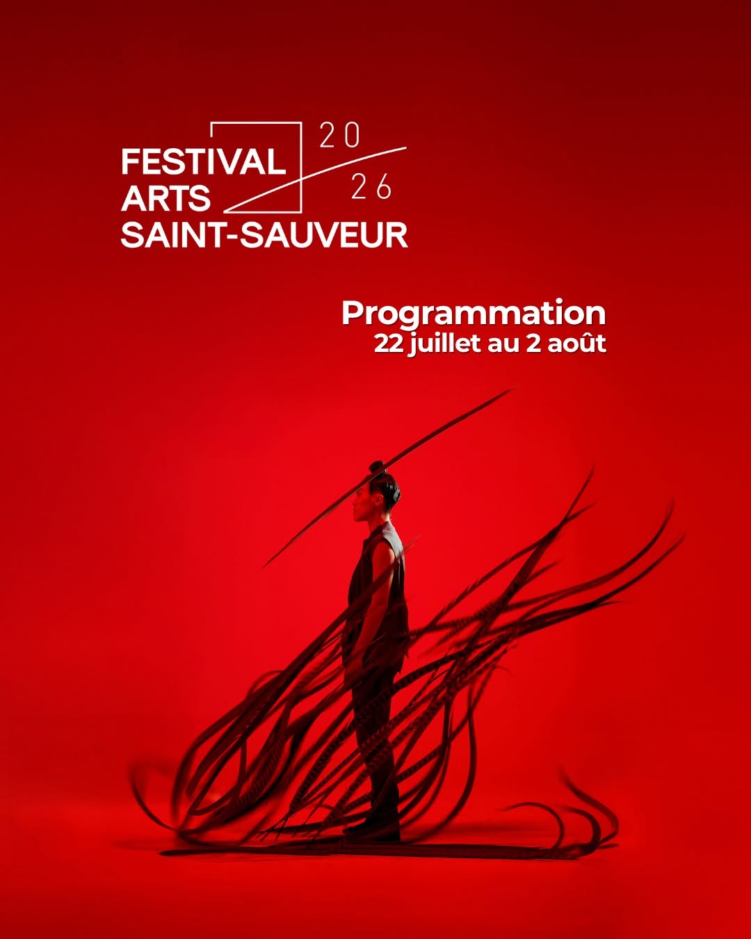 festival des arts saint sauveur