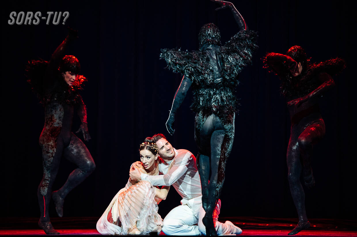 lelac grandsballets 2026 42
