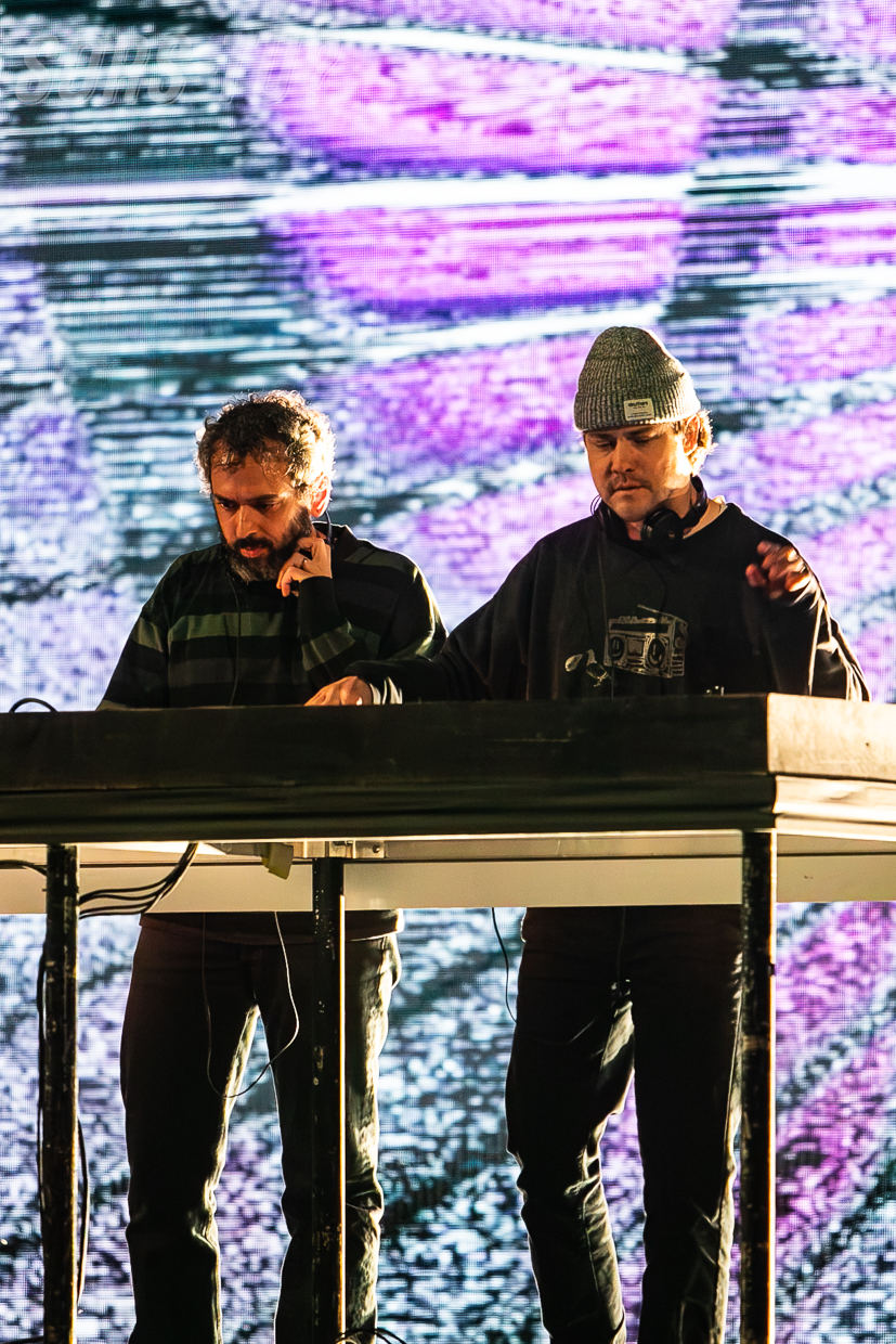 mgmt palomosa 20260515 011