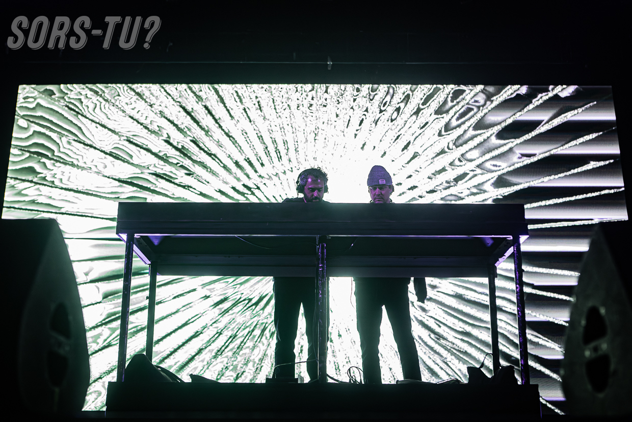 mgmt palomosa 20260515 070