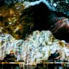 MUTEK