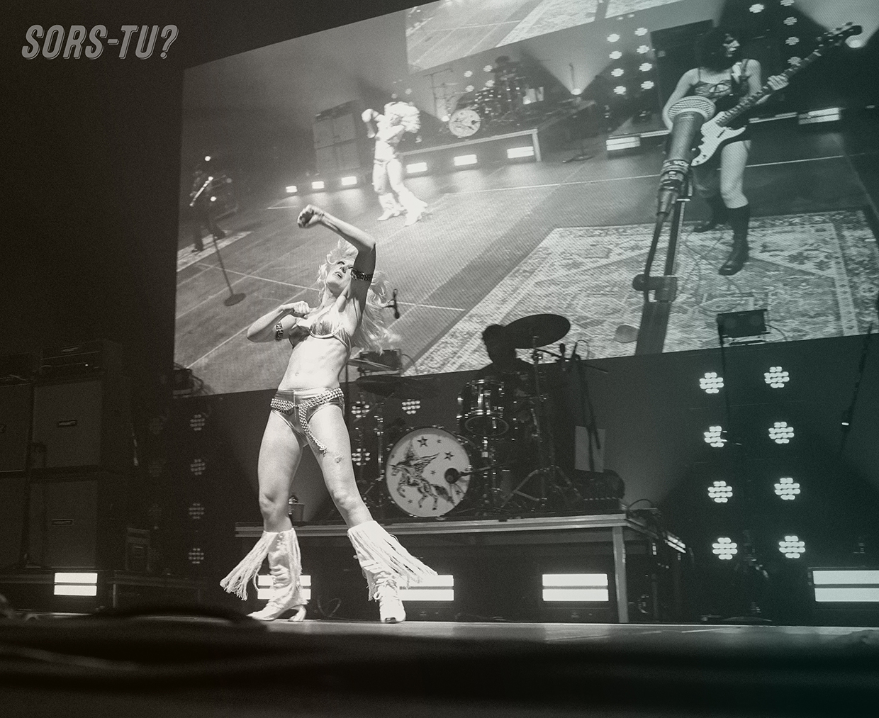 amy and the sniffers montreal 2026 01