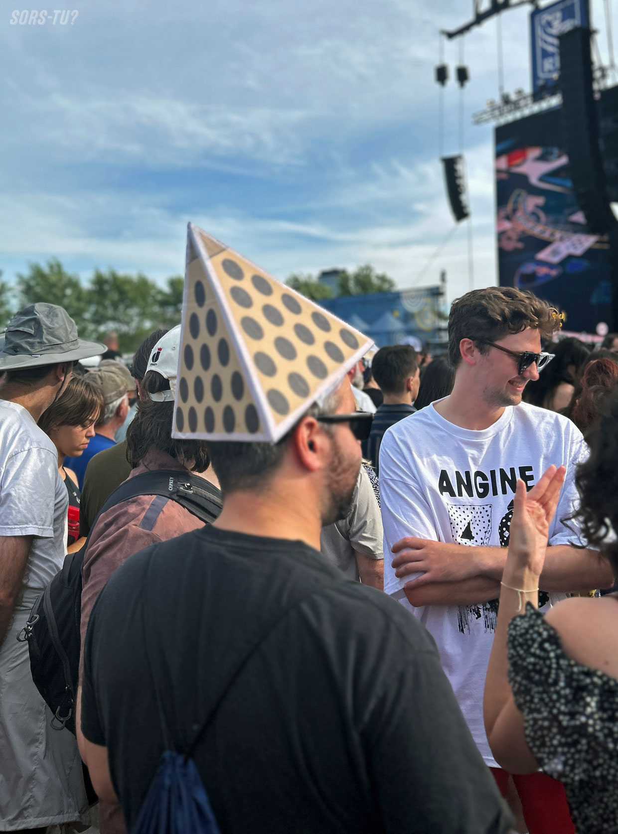 bluesfest ottawa 2026 angine de poitrine fan 02