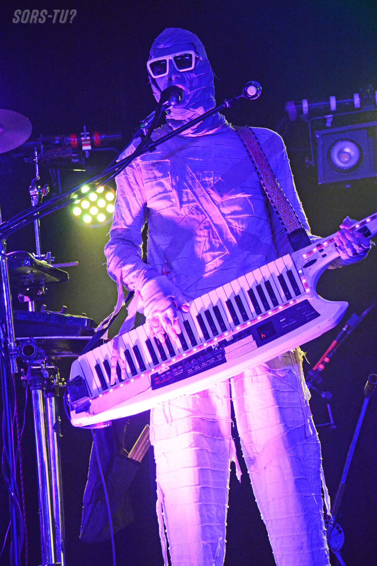 bluesfest ottawa 2026 here come the mummies 07