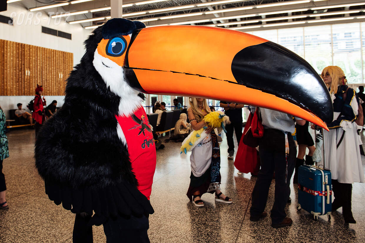 comiccon 2026 39