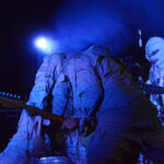The Mummies