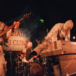 The Mummies