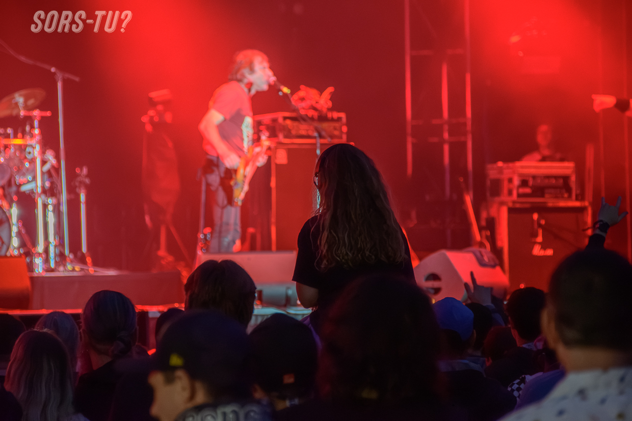 groovy aardvark feq 2026 01