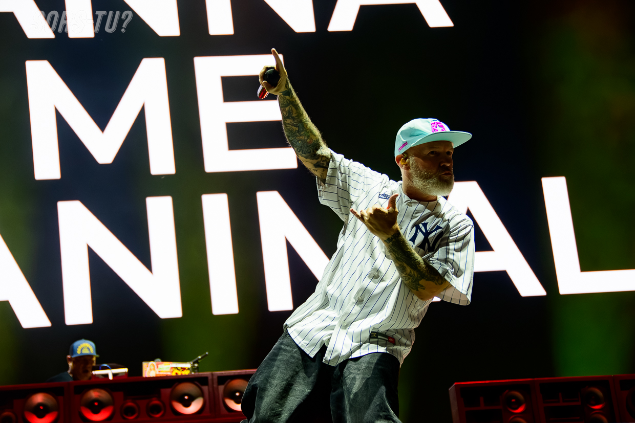 limpbizkit feq 2026 09