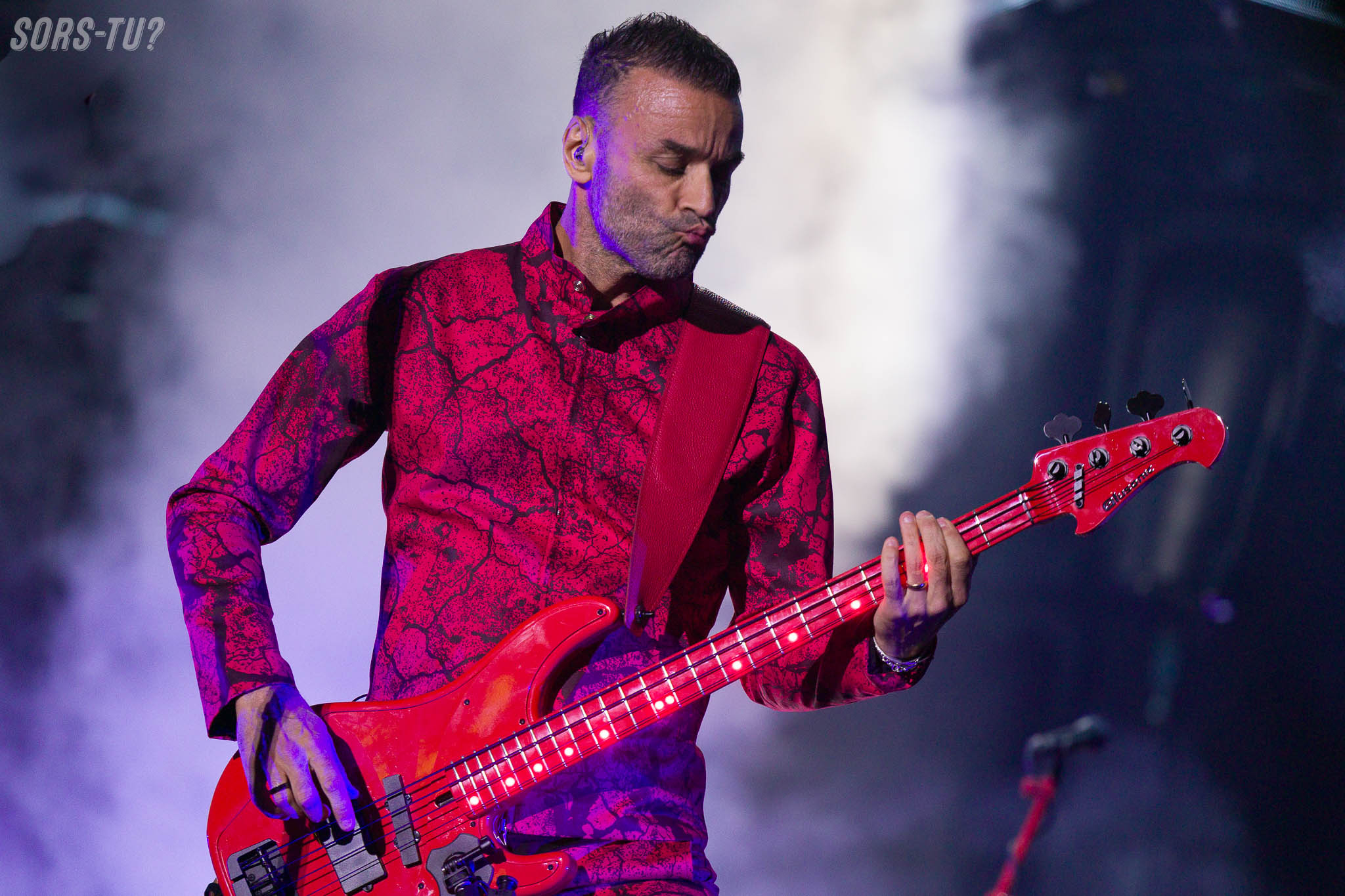 muse feq 2026 14