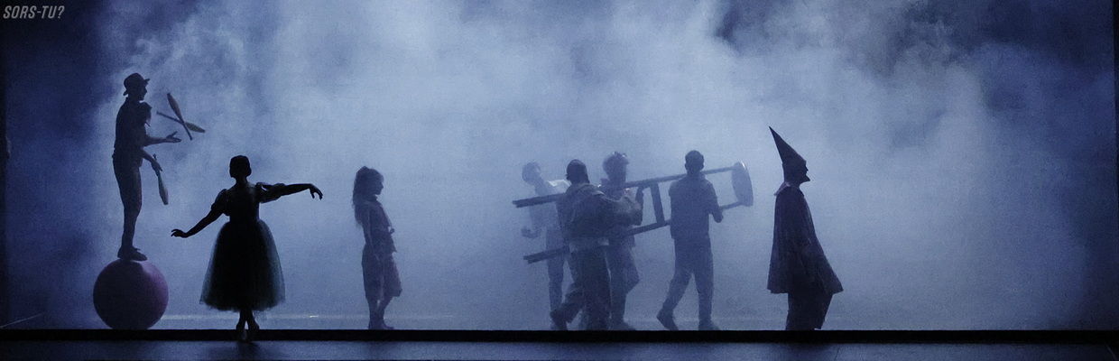 cirque eloize serge fiori – seul ensemble montreal 2026 19