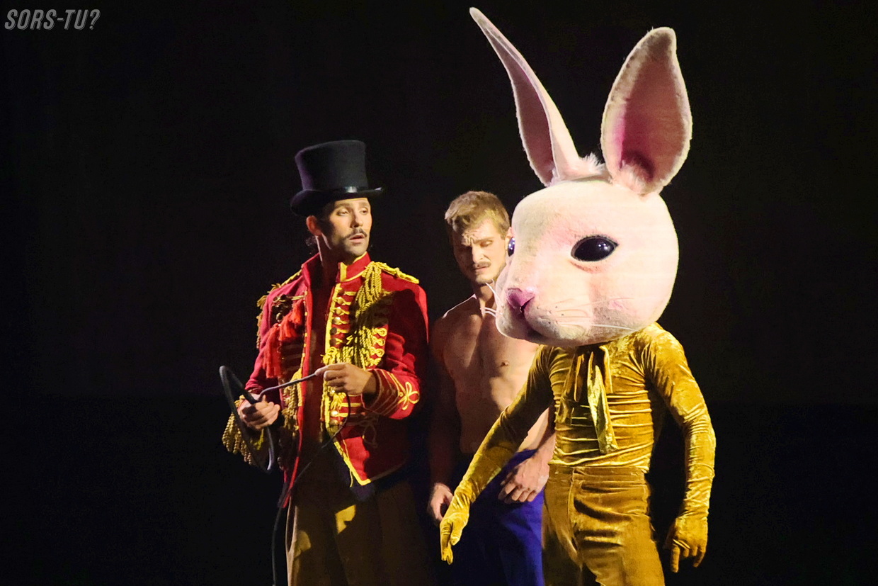 cirque eloize serge fiori – seul ensemble montreal 2026 24