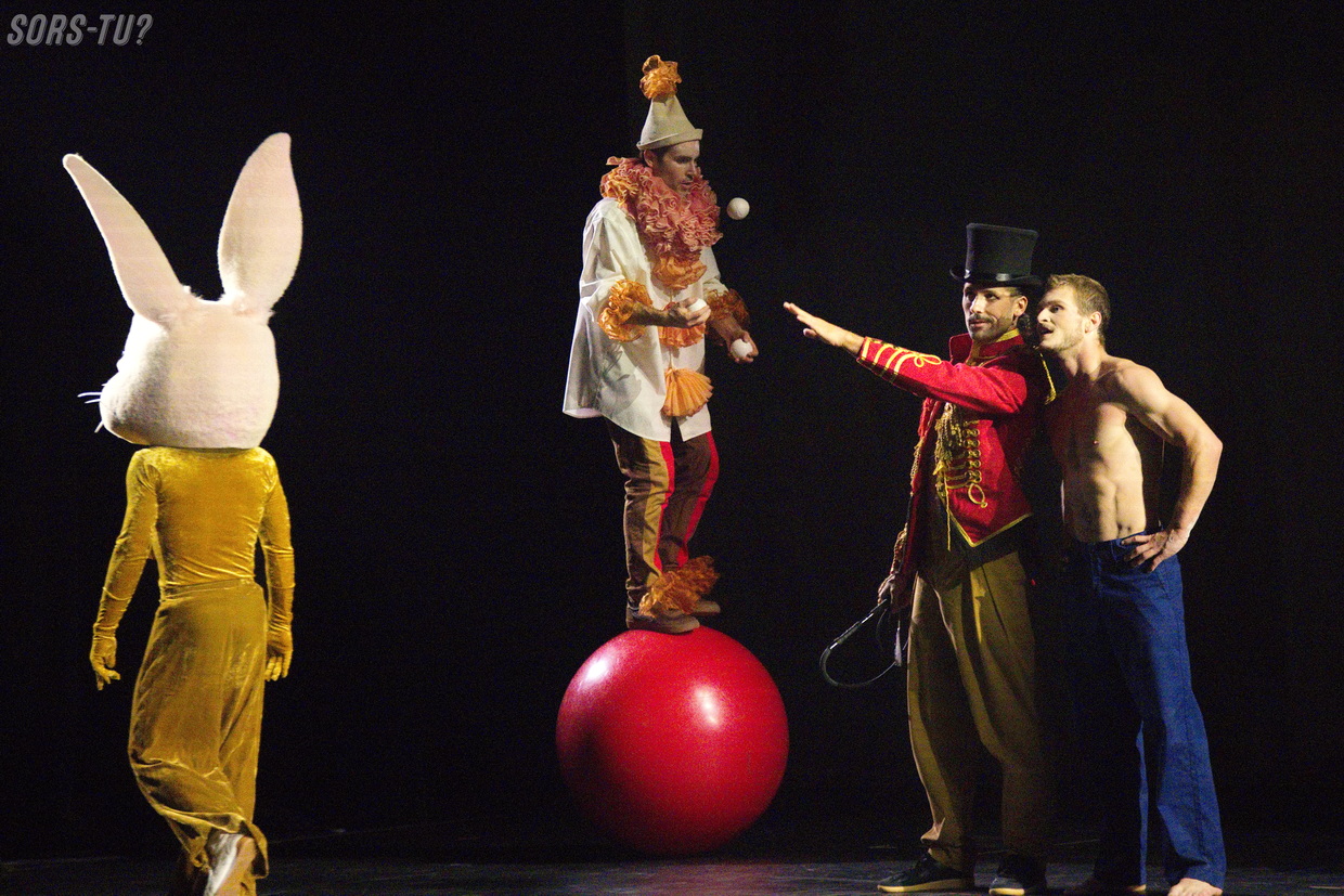 cirque eloize serge fiori – seul ensemble montreal 2026 25