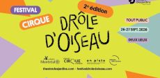 Drôle d&rsquo;Oiseau | Le cirque d&rsquo;auteur à l’honneur à LaSalle et Verdun