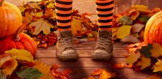 Lune Noire | Le parc Jean-Drapeau revêt son manteau d&rsquo;Halloween!