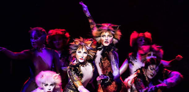 Cats