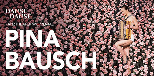 Nelken (Pina Bausch)