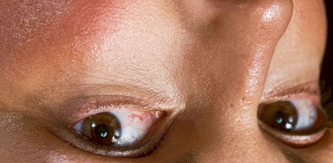 CAMERA OBSCURA (théâtre)