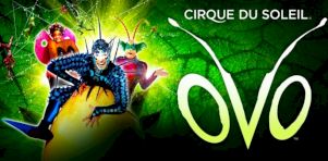 OVO du Cirque du Soleil en spectacle d’ouverture de la Place Bell à Laval en septembre 2017