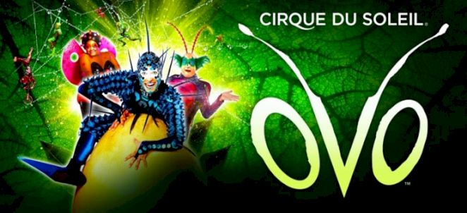 Cirque du Soleil - OVO