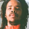 Earl Sweatshirt